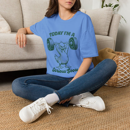 Today I'm A Serious Goose T-Shirt
