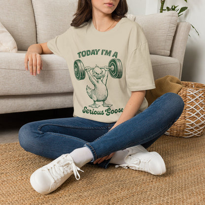 Today I'm A Serious Goose T-Shirt